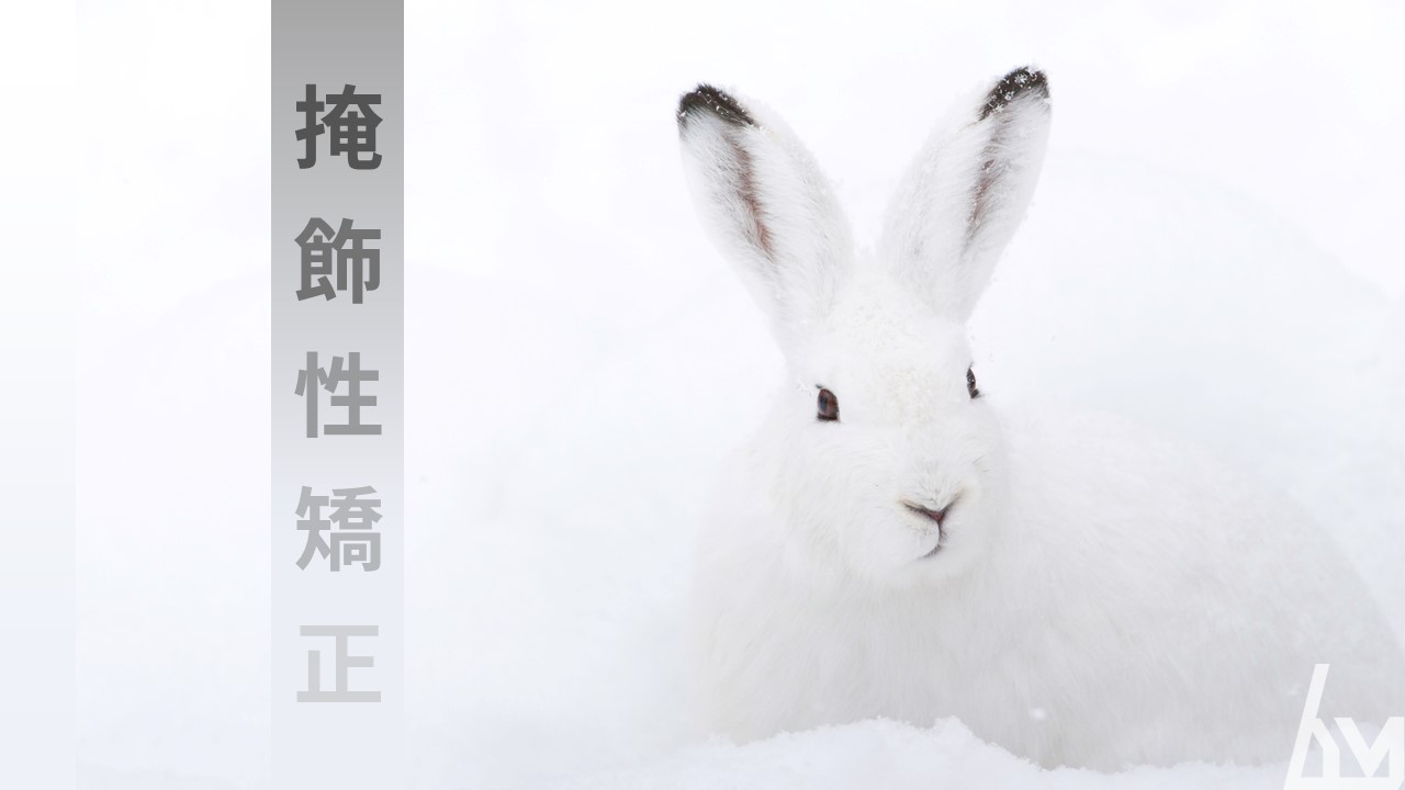 掩飾性治療 治療後