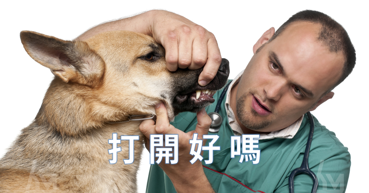 【隱形矯正案例】前牙深咬、壯齡矯正 治療後