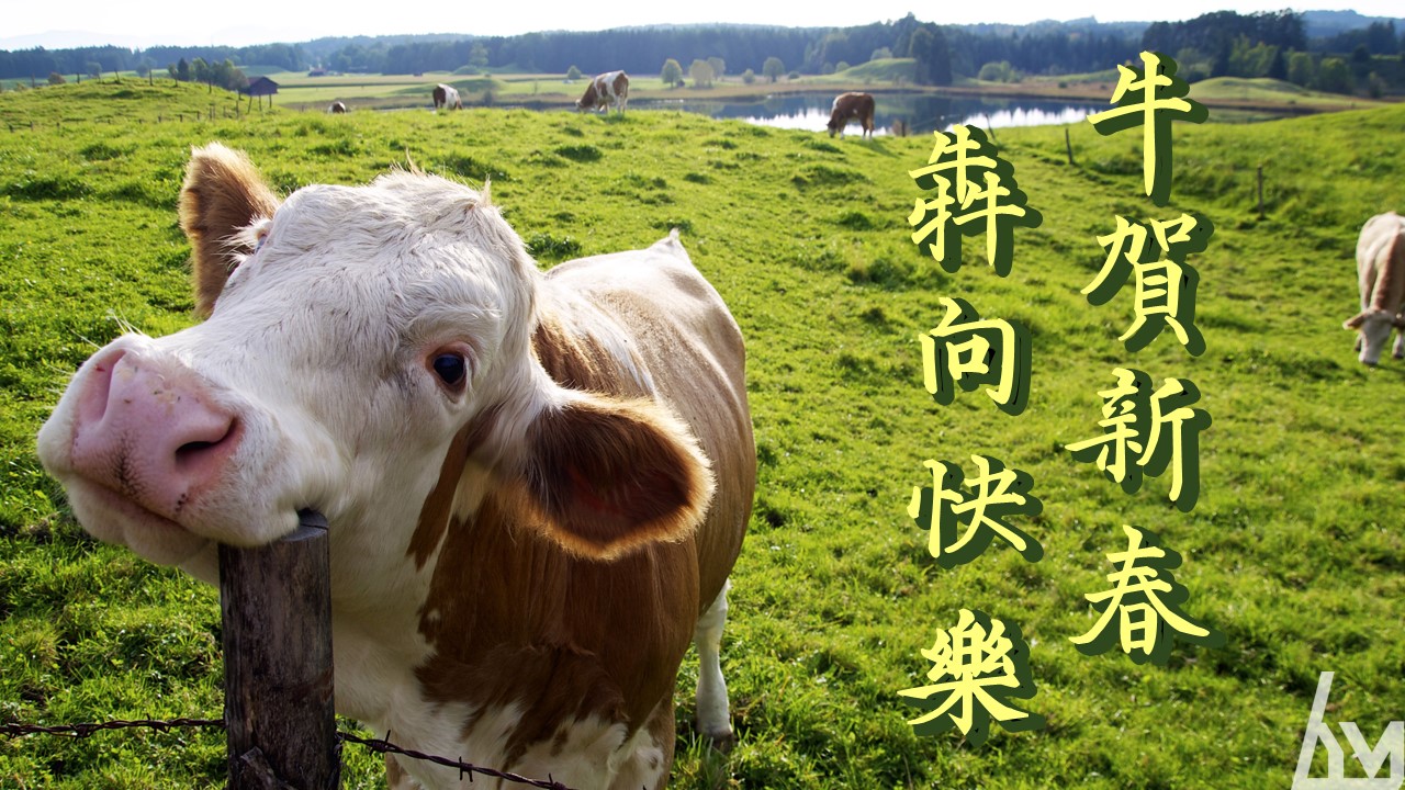 牛賀新春犇向快樂  牛狀齒特輯